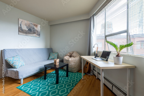 Cozy studio student apartment with a combined living room and office.