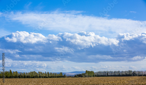 Open fields under blue sky