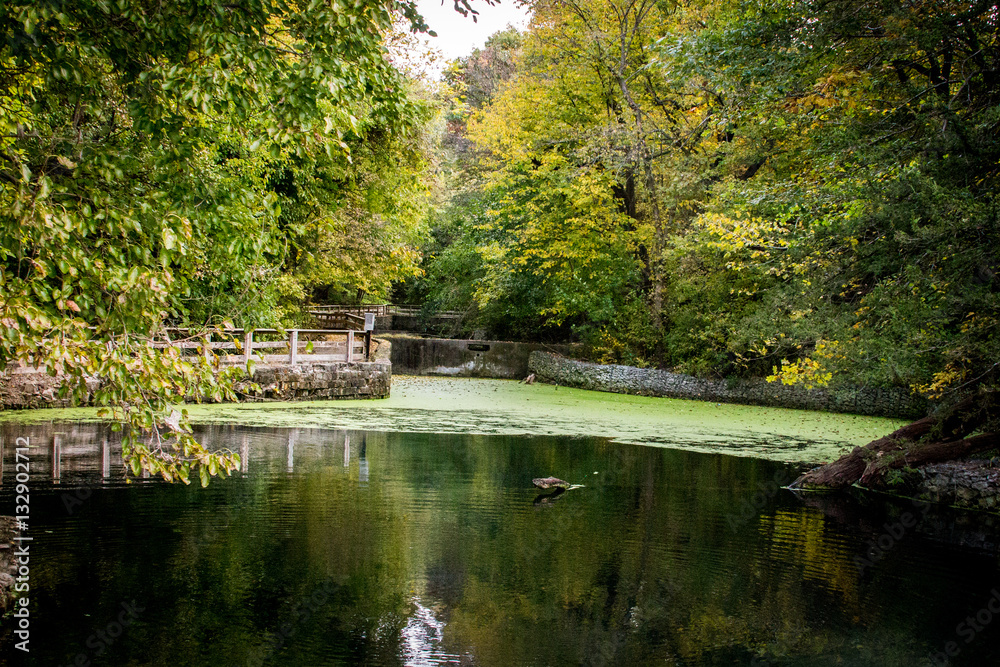 Shramm Park Hatchery