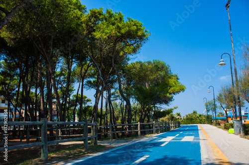 Bicycle track on the adriatic sea coast. Seashore of city Alba Adriatica in Italy, Pine trees on the side, summer sunny day.