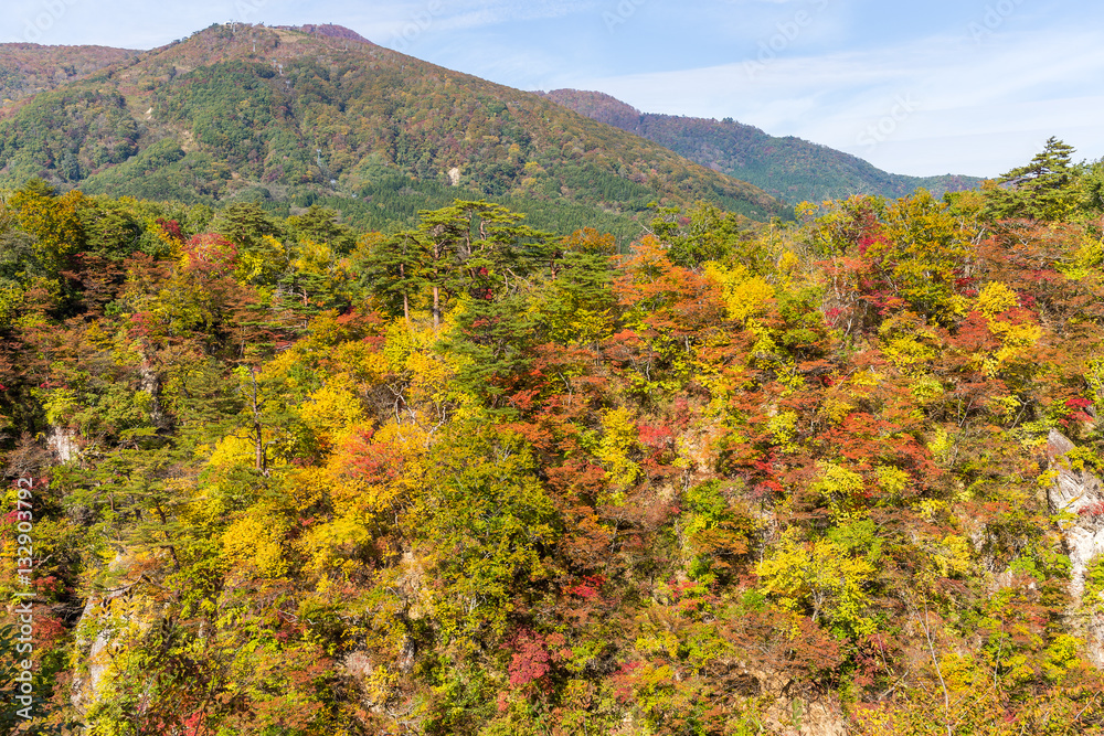 Naruko Gorge in autumn