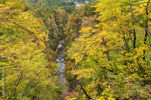 Narukokyo photo