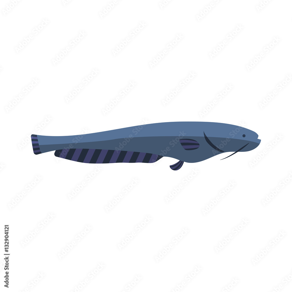 Fish vector illustration. Fish vector illustration.