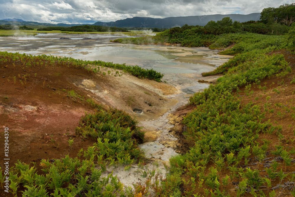 Beautiful summer landscape in the Uzon Caldera. Kronotsky Nature Reserve Beautiful summer landscape in the Uzon Caldera. Kronotsky Nature Reserve