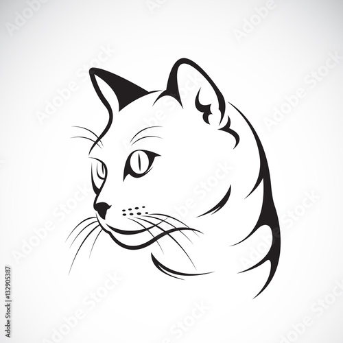 Vector of a cat face design on white background. Pet. Easy editable layered vector illustration.