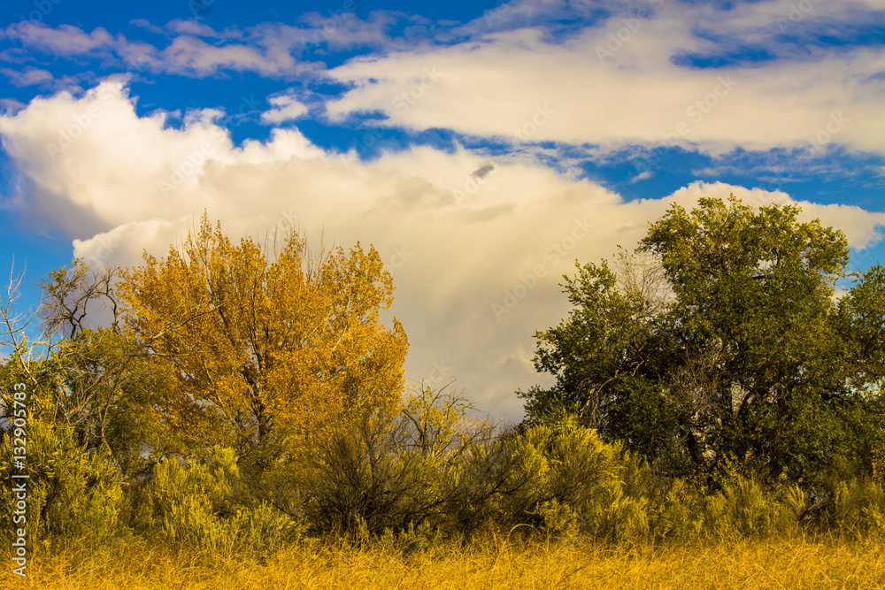 Obraz premium Autumn day 1