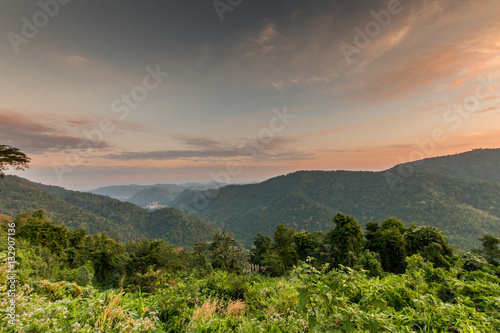 tropical rainforest,Khao Yai National Park Thailand.