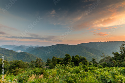 Fototapeta Naklejka Na Ścianę i Meble -  tropical rainforest,Khao Yai National Park Thailand.