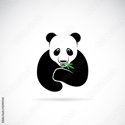 Fototapeta Naklejka Na Ścianę i Meble -  Vector of a panda design on a white background. Wild Animals.