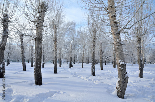 Winter Siberian city park, Omsk region