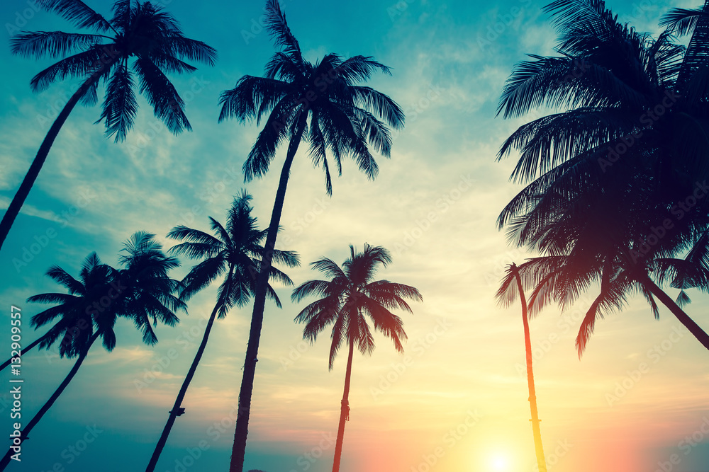 Silhouettes of palm trees against the sky during a tropical sunset.