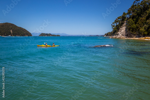 Recreational kayaking in beautiful landscape with blue ocean and clear sky, Abel Tasman New Zealand