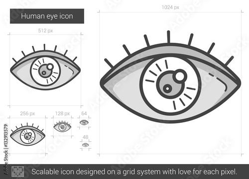 Human eye line icon.