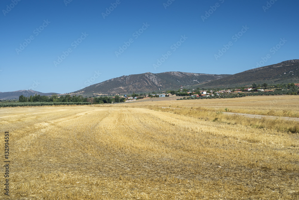 Small hamlet in an agricultural landscape in La Mancha, Ciudad Real Province, Spain. In the background can be seen the Toledo Mountains