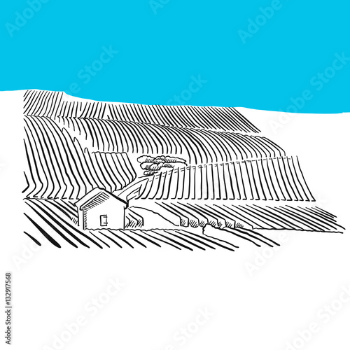 Landschaft mit Feldern, Weinberg, Blaue Serie