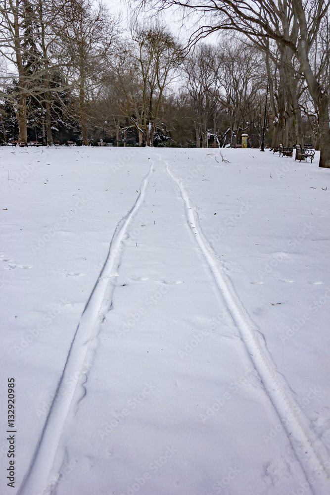 Fototapeta premium Sleigh traces on snow in park
