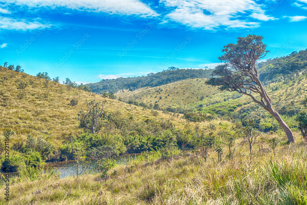 Sri Lanka: highland Horton Plains National Park
Sri Lanka: highland Horton Plains National Park