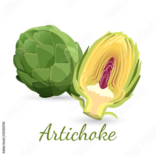 Fresh green artichoke with stem and half, bud flower