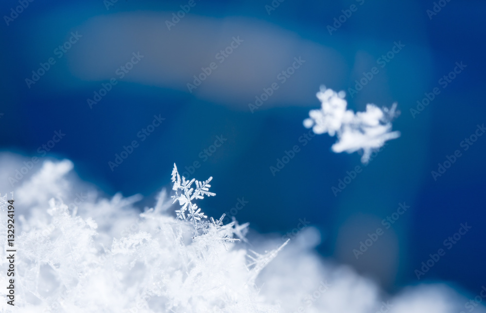 natural snowflakes, photo real snowflakes during a snowfall, under natural conditions at low temperature