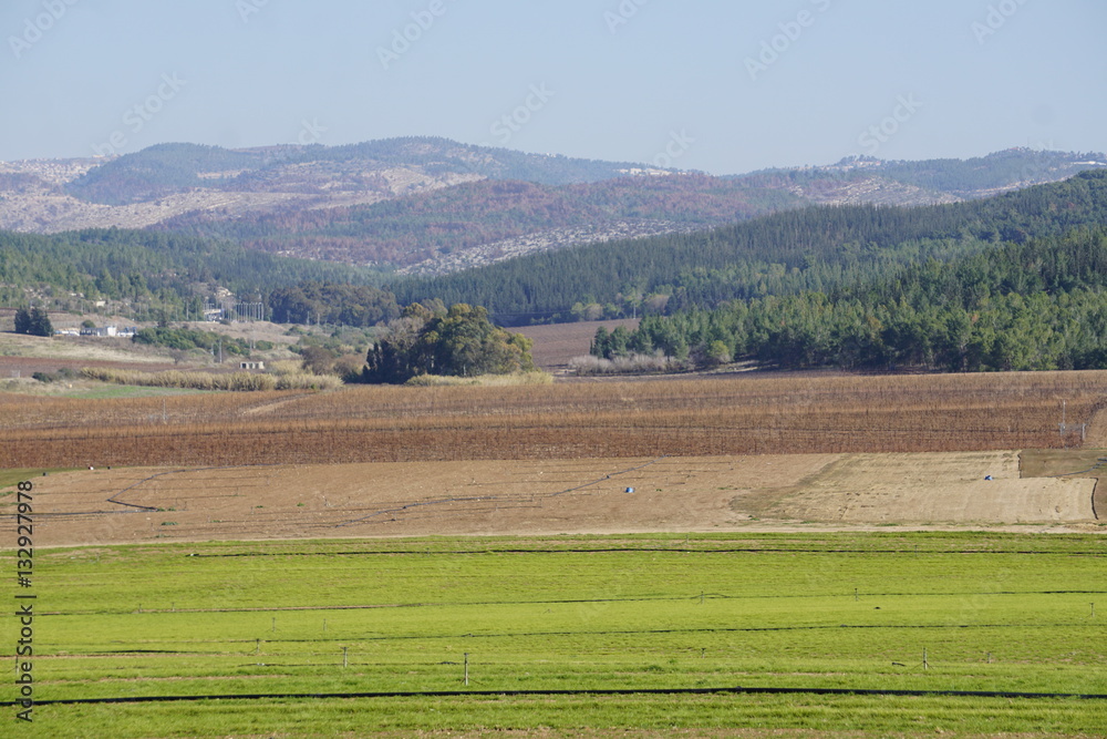 A Panorama Of The Ayalon Valley  in israel near jerusalem