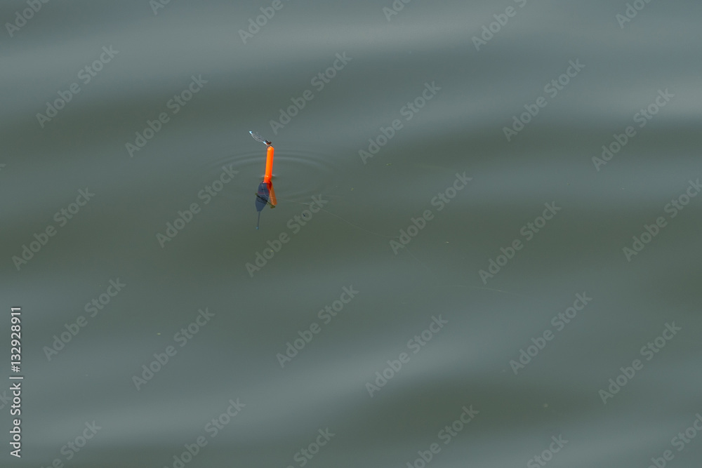 Fototapeta premium Red angling in the river