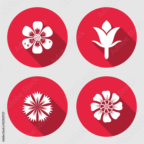 Flower icons set. Chamomile, daisy, blue poppy, cloves. Floral symbols. Round circle flat sign with long shadow. May be used in cuisine. Vector