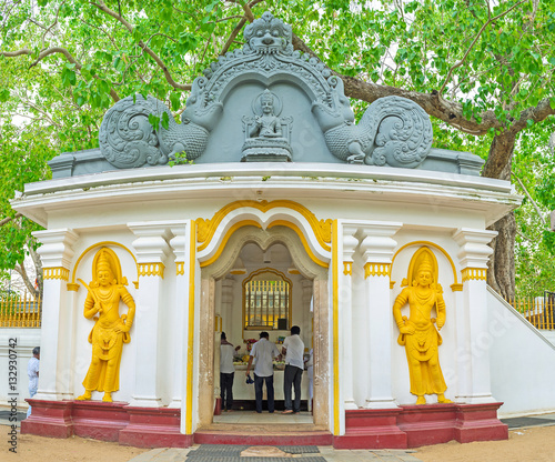 The Bodhi Tree Shrine photo