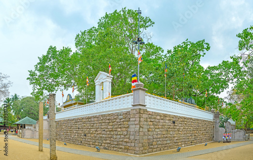 The walk around Bodhi Tree Temple photo