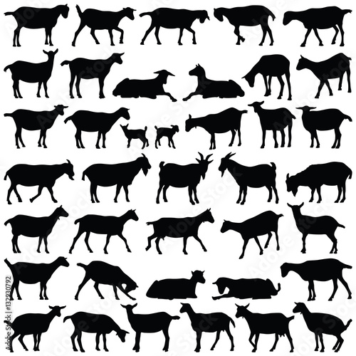 Goat collection - vector silhouette 