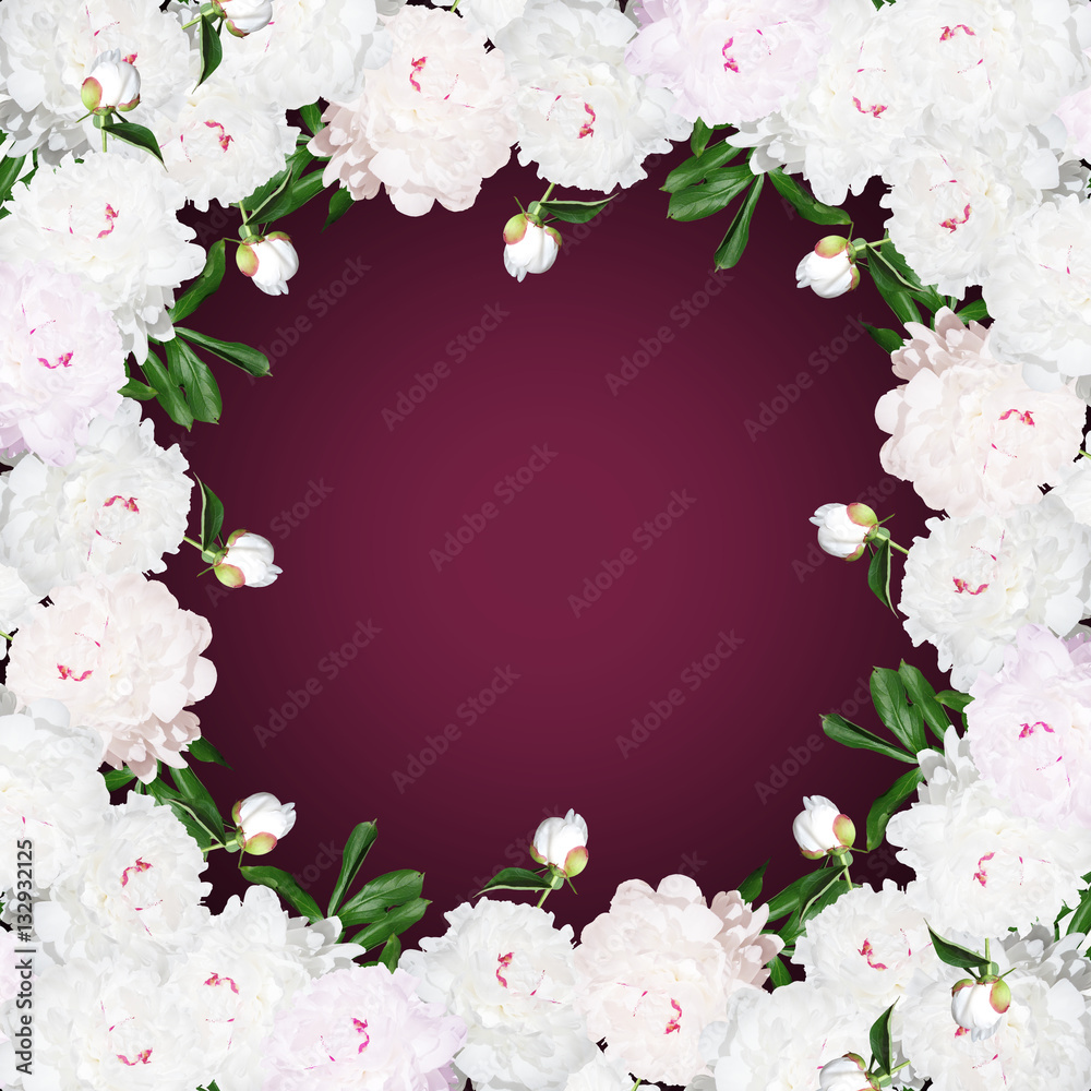 Beautiful floral background with white peonies Beautiful floral background with white peonies