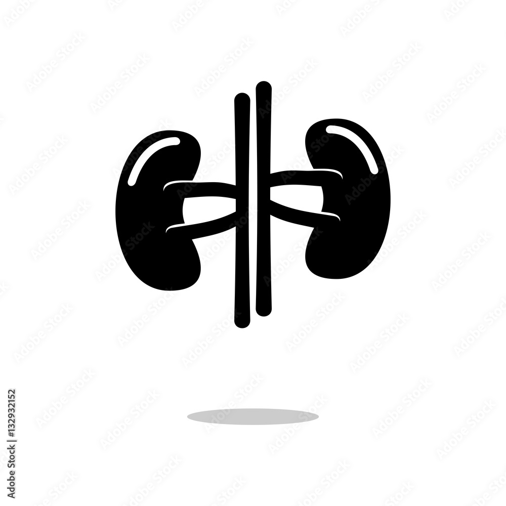 Kidney silhouette icon vector
