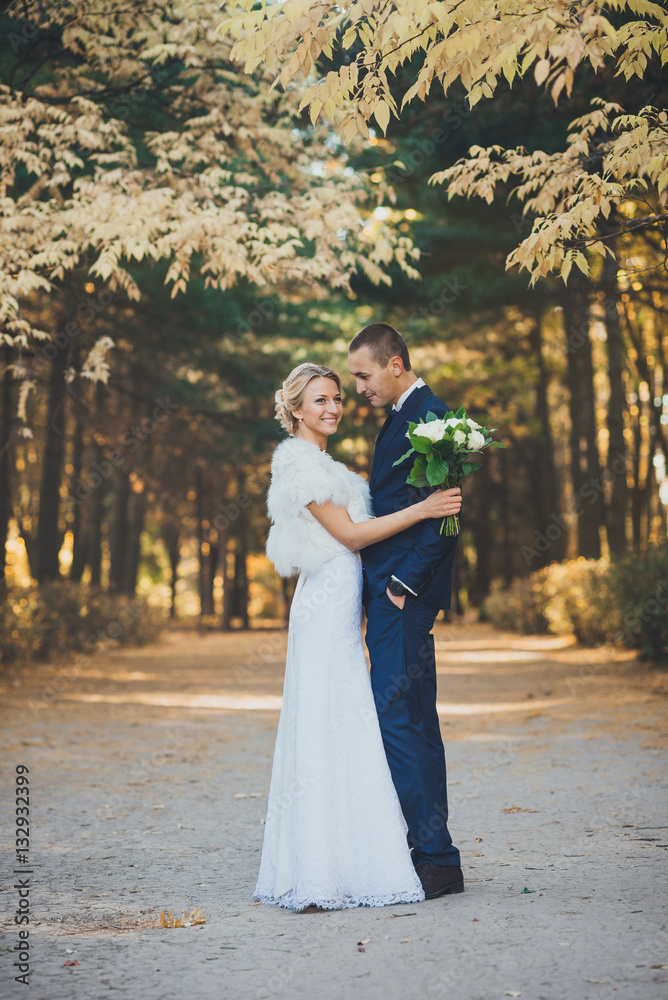 bride and groom in autumn park Love Life bride and groom in autumn park Love Life