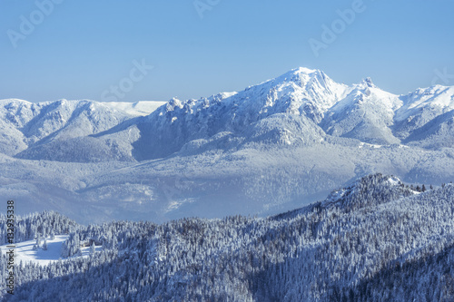 View of the Romanian Carpathian Mountains and the forests in the winter season covered by snow