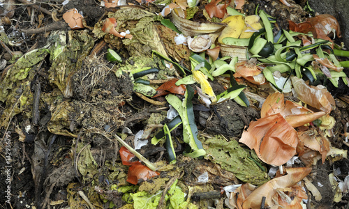 Obraz na płótnie Composting w salonie