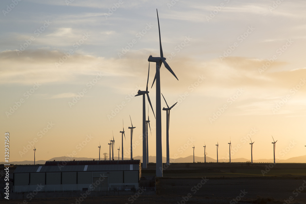 Obraz premium Wind Turbines at Dusk, Aragon