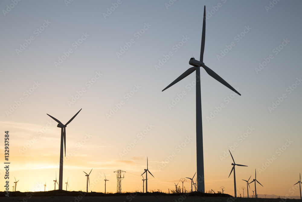 Wind Turbines at Dusk, Aragon