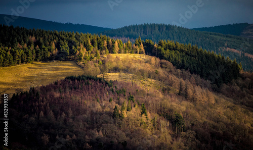 Jenny's Brae, bathed in winter sun, Scottish Borders