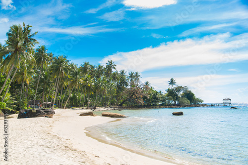 coconut tree at white beach in Thailand sea