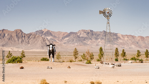 California, Nevada, Arizona, New Mexico