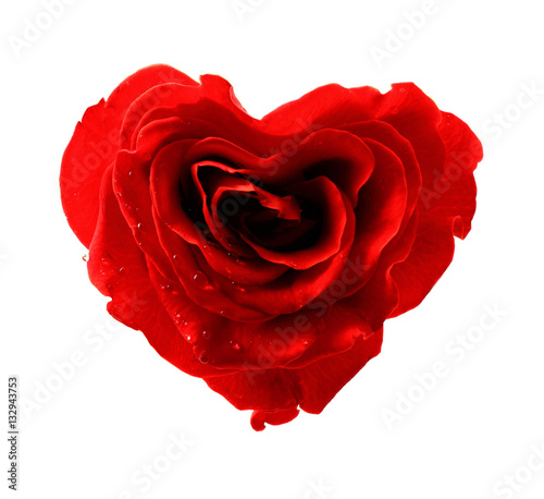 Rose heart