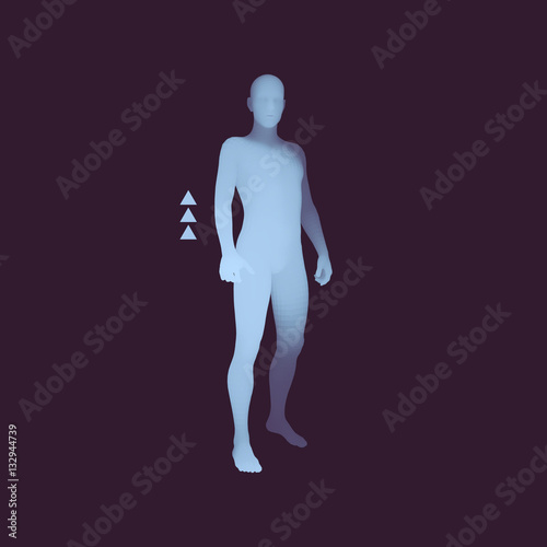 Standing Man. 3D Human Body Model. Design Element.