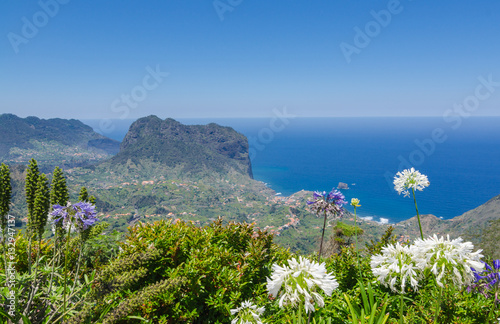 Ocean view from the Levada Ribeira Frio-Portela foreground flowe