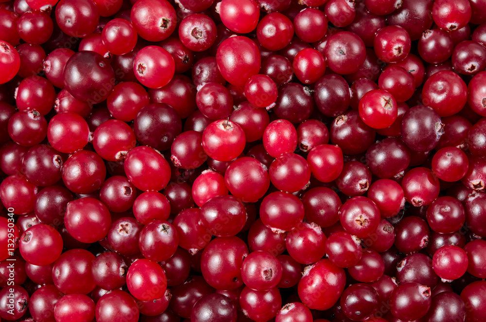 Cranberry. Berries macro. Food background.