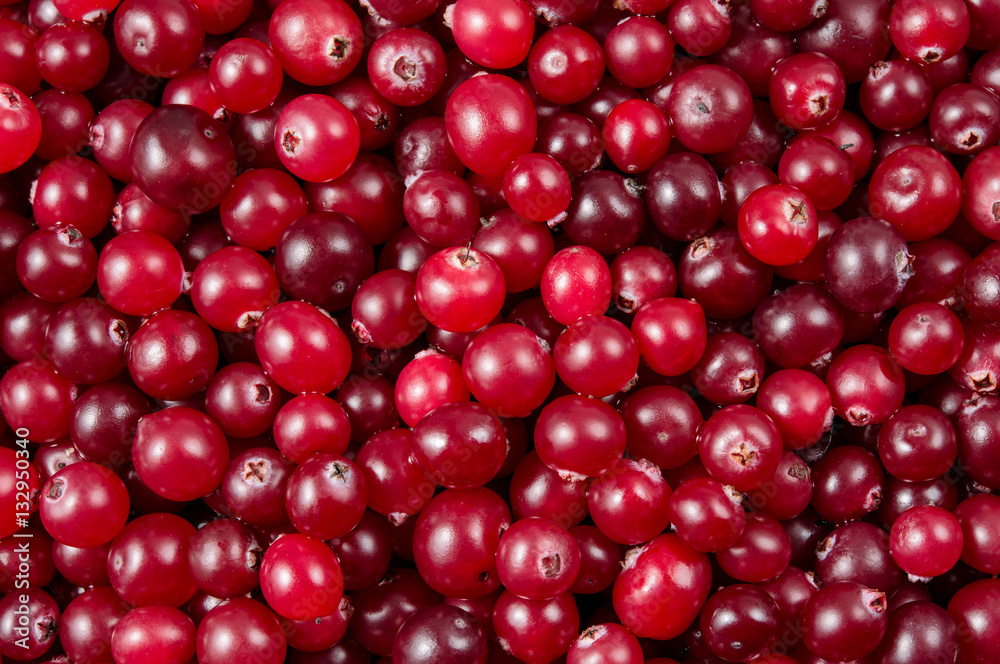 Cranberry. Berries macro. Food background. Cranberry. Berries macro. Food background.