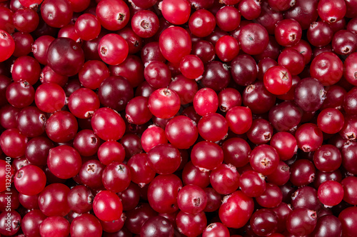 Cranberry. Berries macro. Food background.