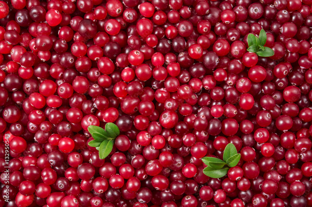 Cranberry. Berry with leaves. Food background. Cranberry. Berry with leaves. Food background.