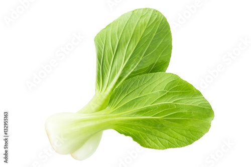 Bok Choy, fresh chinese cabbage isolated on white background