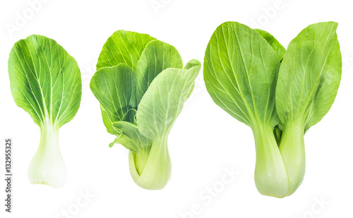 Bok Choy, fresh chinese cabbage isolated on white background photo