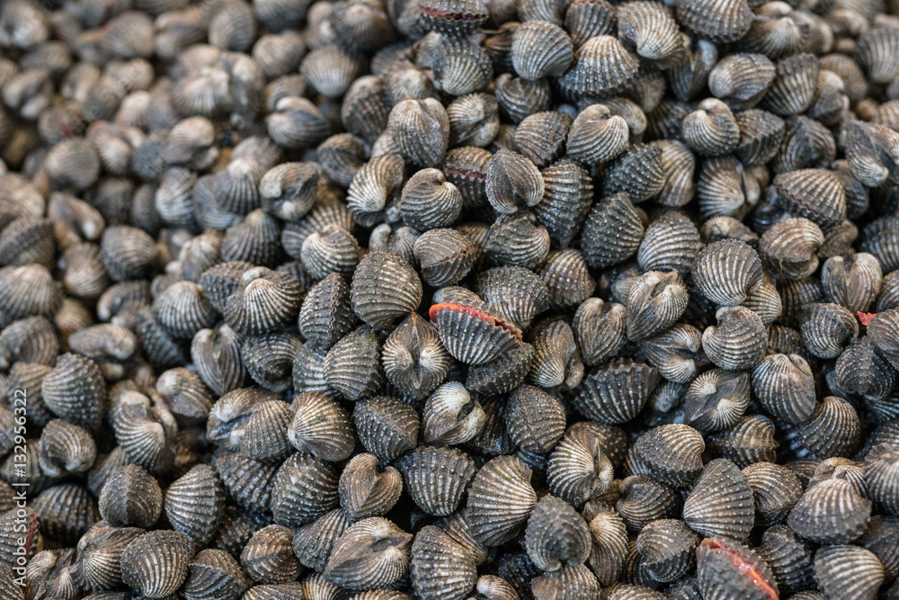 Blood Cockle - Fresh Mussels On The Market Stack Of Fresh Cockle On ...