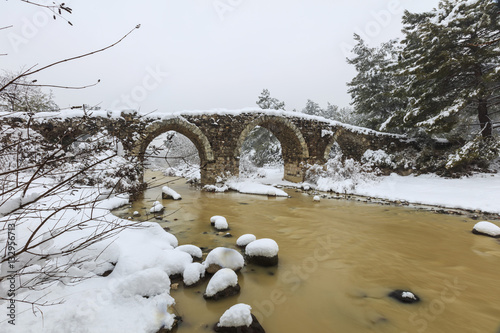 Cicekli izmir photo